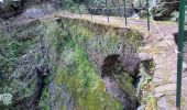 Trail Walking Funchal (Santa Maria Maior) - Monte par le Levada do Bom Sucesso (Rother n°2 inversé) - Photo 7