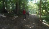 Trail Walking Campigny - 20230913-Campigny claude - Photo 5