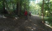 Tour Wandern Campigny - 20230913-Campigny claude - Photo 5