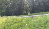 Randonnée Marche Dampleux - en Forêt de Retz_101_05_2026_sur la Route des Briolles et la Route de Hautwison - Photo 18