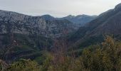 Trail Walking Estoublon - Gorges de Trevans par Valbonnette - Photo 7