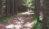 Tour Wandern Le Béage - suc du montfol et lauzière - Photo 3