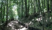 Trail On foot Sant'Alfio - Sentiero delle Ginestre tappa 3 - Photo 9