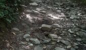 Trail Mountain bike Saint-Cergues - essai St cergues 22-07 - Photo 5