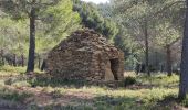 Excursión Senderismo La Cadière-d'Azur - Télégraphe par la Louisiane  - Photo 13