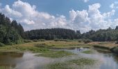 Tocht Stappen Bütgenbach - butgenbach sous 34° - Photo 18