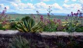 Tour Wandern Seillons-Source-d'Argens - Trace_Seillons - Photo 17