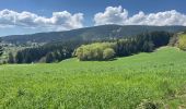 Randonnée Marche Chausseterre - Les Faures via la cabane du Maquis - Photo 2