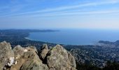 Tour Wandern Rayol-Canadel-sur-Mer - Wikiloc - Le rayon canadel - Opidum de monjean - Photo 2
