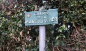 Randonnée Marche Saint-Cyr-la-Campagne - 20230124-St Germain de Masquier - Photo 15