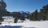 Tour Schneeschuhwandern Les Angles - Les  Angles - Photo 3