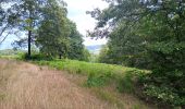 Randonnée Marche Liège - Quadrifyon autour de la lande de Streupas - Photo 6