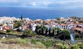 Tocht Stappen Los Realejos - San Juan de la Rambla - Photo 7