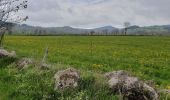 Trail Walking Le Puy-en-Velay - [01] Compostelle : du Puy-en-Velay à Saint-Privat-d'Allier - Photo 3