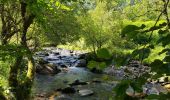 Trail Walking Aulus-les-Bains - Cascade de Fouillet Ariége - Photo 7