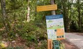 Percorso Marcia Arith - Col de la couchette en boucle avec passage au refuge - Photo 14