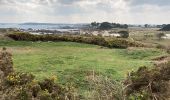 Tocht Stappen Carantec - Tour de l'île Callot - Photo 5