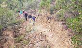 Trail Walking Fréjus - N.D de Jérusalem - Photo 5