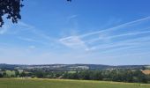 Tocht Stappen Trois-Ponts - GR 14 BASSE-BODEUX - BANEUX TABLE D'ORIENTATION  - Photo 5