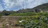 Excursión Marcha nórdica La Trinité - Usine du Galion - les étangs - mangrove  Woz  - Photo 12