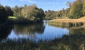 Tocht Stappen Oudergem - Balade en forêt de Soignes - Auderghem - Photo 2