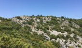 Excursión Senderismo Mérindol - PF-Mérindol - Puget-Les Borrys-Rochers des Onze Heures-Croix de Fer-Combe de l'Euse - Photo 1