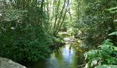 Trail Walking Saissac - le lampy - Photo 5
