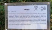 Tocht Stappen Rouvroy - Torgny boucle sur la transgaumaise - Photo 4