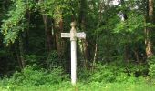 Tour Wandern Rethondes - en forêt de Laigue_4_08_2019_Mont du Fouilleux_Mont des Singes_Marais de Francière - Photo 3