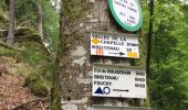 Tour Wandern Breitenau - Fouchy  - Photo 2