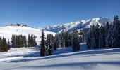 Trail Snowshoes Les Villards-sur-Thônes - Plateau de Beauregard - Photo 15