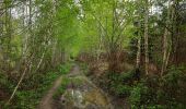 Trail Walking Clavier - Pailhe  - Photo 1