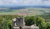 Trail Walking Dambach-la-Ville - Dambach-la-Ville : Circuit des trois châteaux - Photo 3