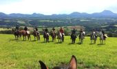 Trail Horseback riding Saint-Jacques-d'Ambur - SAINT JACQUES / LE ROCHER DU SOLDAT 32 KMS - Photo 1