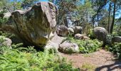 Tocht Stappen Fontainebleau - Fontainebleau sentier Denecourt 7 ouest prolongé  - Photo 11