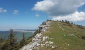 Randonnée Marche Entremont-le-Vieux - Sommet Pinet à partir de la Balme - Photo 6