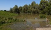 Tour Zu Fuß Nimwegen - Wandelroute Ooijpolder - Photo 2