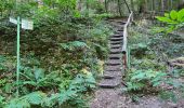 Trail Walking Saint-Nabor - Anciennes abbayes - Photo 10