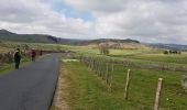 Tocht Stappen Prinsuéjols-Malbouzon - prinsueljols-aubrac etape st Jacques  - Photo 5