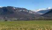 Tour Wandern Chainaz-les-Frasses - Entre Albanais et Chéran - Photo 2