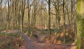 Tour Wandern Belœil - Stambruges, Beloeil, les Ecacheries, mer de sable, Stambruges - Photo 4