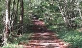 Trail Walking Chambors - Randonnée des 4 villages de Chambors à Lattainville, Delincourt et Reilly - Photo 8