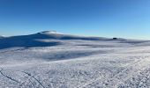 Tour Schneeschuhwandern Curières - Mon plus bel Aubrac  - Photo 3