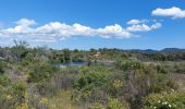 Tour Wandern Le Cannet-des-Maures - lac des Escarcets et lac des auredes  - Photo 6