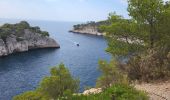 Trail Walking Cassis - Calanques de Port Miou, Port Pin et d'En Vau - Photo 2