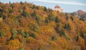 Tour Zu Fuß Schnaittach - Rundweg Osternohe – Algersdorf - Photo 2