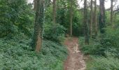 Trail Walking Court-Saint-Étienne - Dans le bois Sainte Catherine... - Photo 9