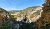 Randonnée Marche Val-Buëch-Méouge - les gorges de la Méouge - Photo 16