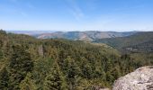 Tocht Stappen Arrigas - de Arrigas au Mont saint Guiral - Photo 12