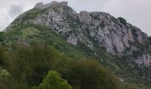 Trail Walking Prades - Comus Montsegut - Photo 2
